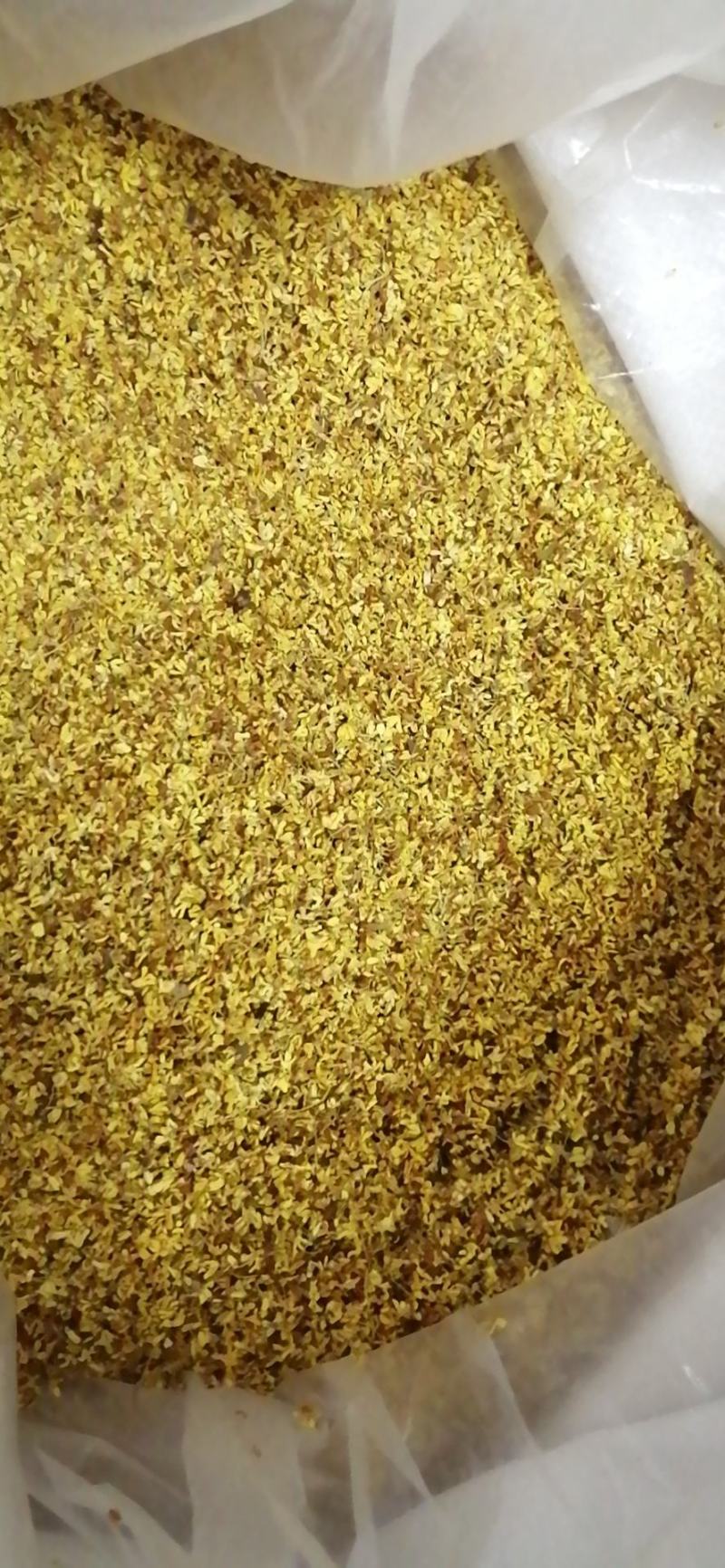 药用桂花干桂花广西桂花金桂花无硫无添加各种规格包邮