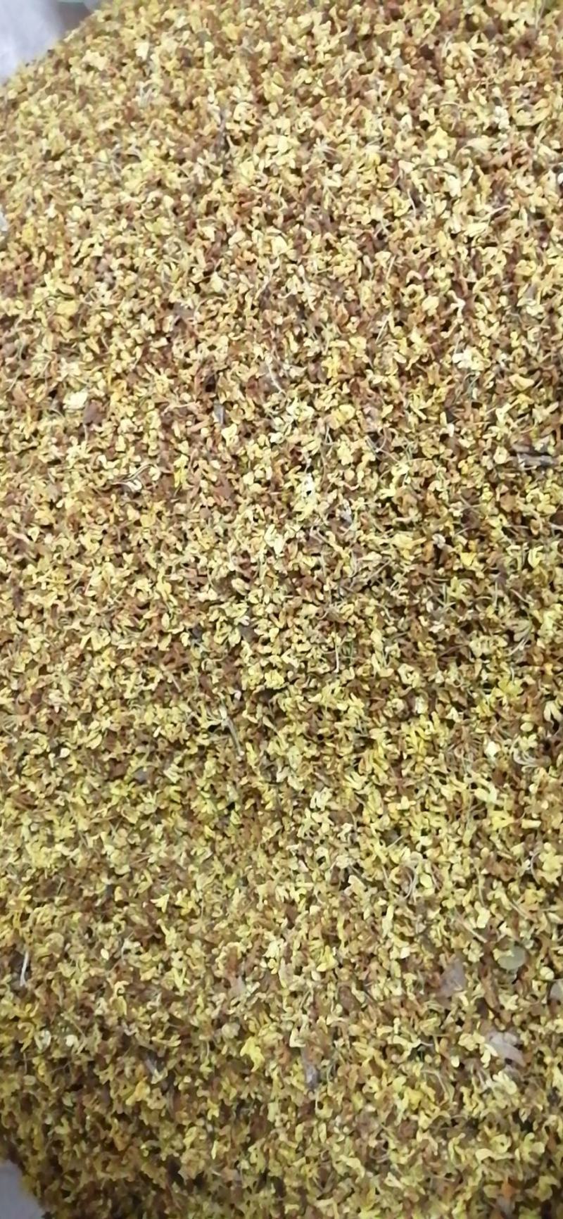 药用桂花干桂花广西桂花金桂花无硫无添加各种规格包邮