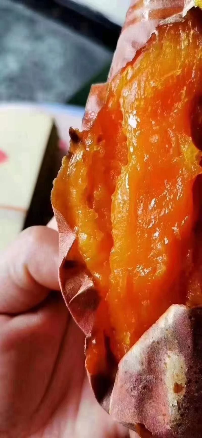 山东蜜薯烟薯25