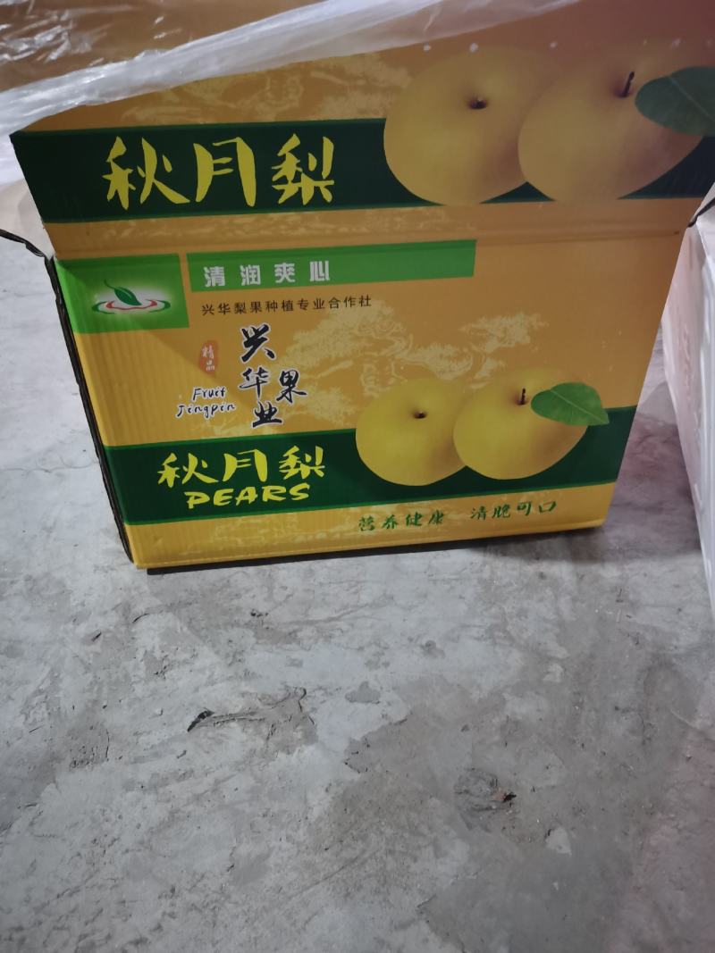 秋月精选秋月梨口感甜颜色好，海量货源