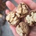 2021年新货麻子核桃，大优核桃上市，皮薄，肉厚