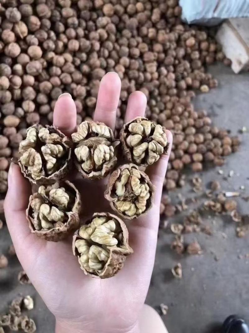 2021年新货麻子核桃，大优核桃上市，皮薄，肉厚