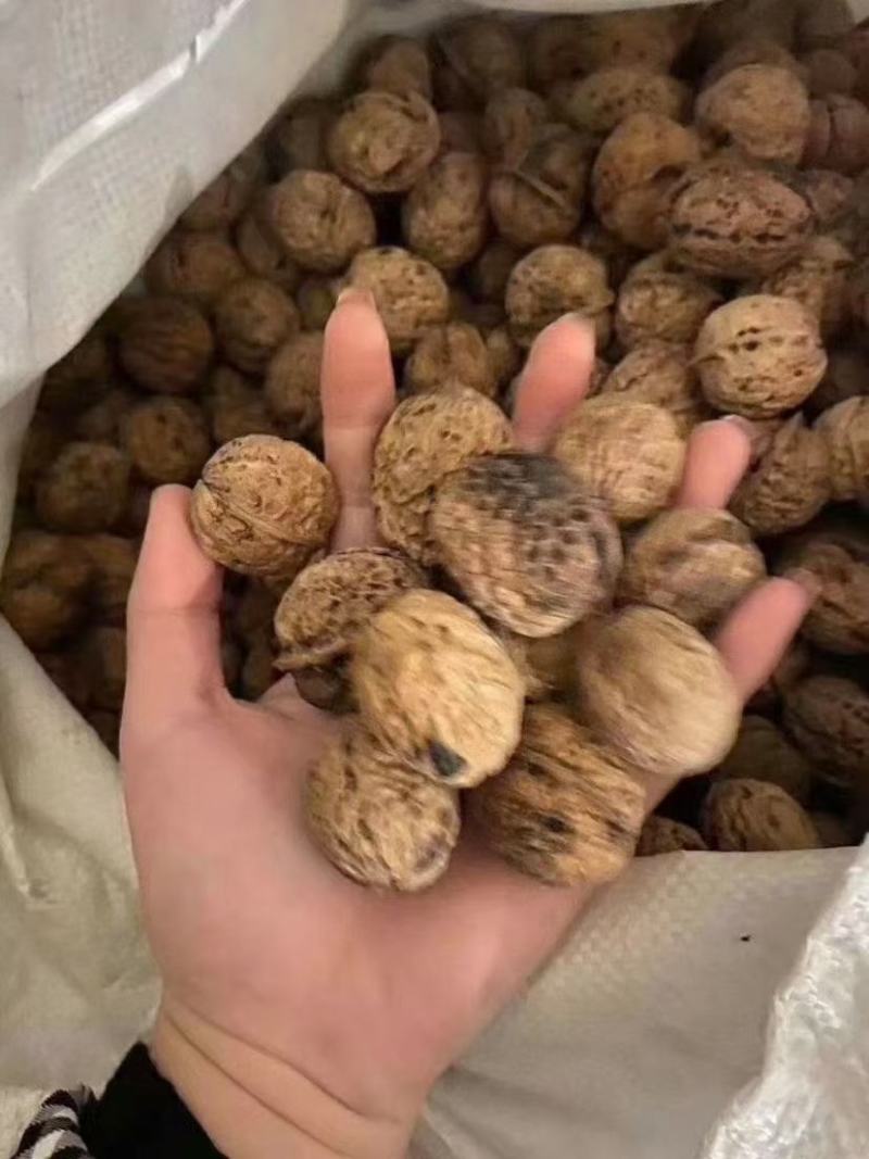 2021年新货麻子核桃，大优核桃上市，皮薄，肉厚