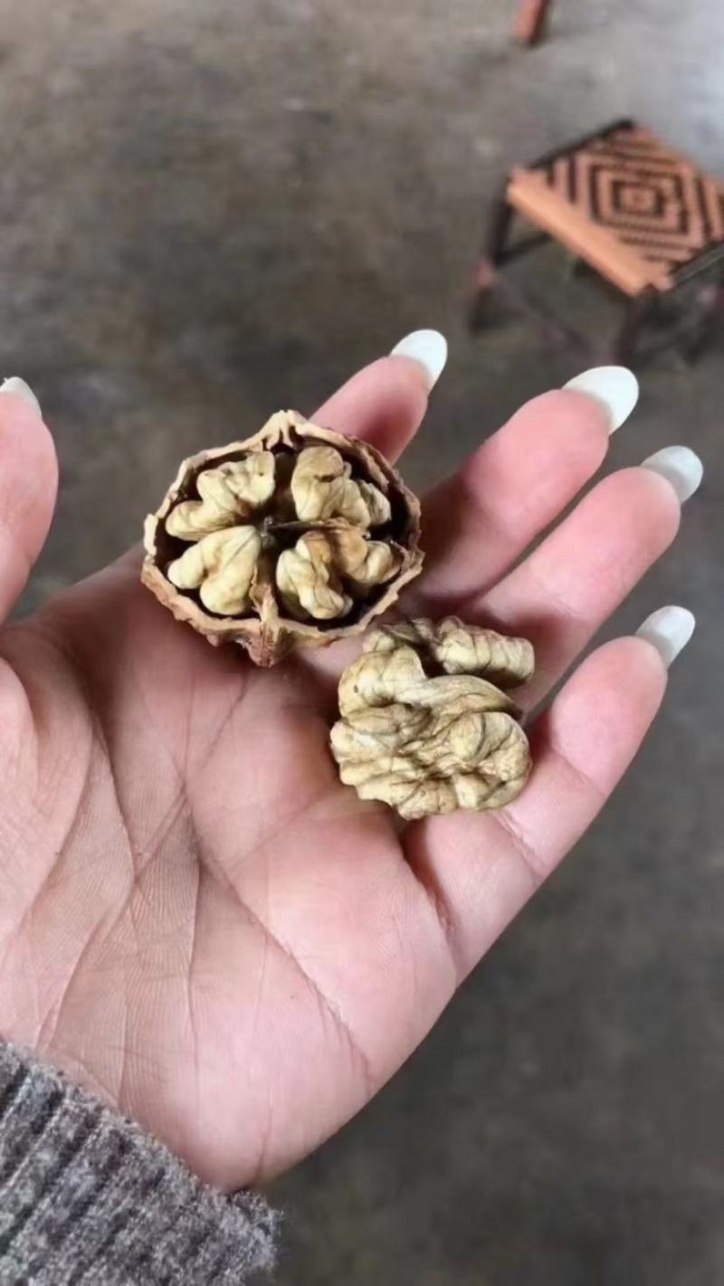 2021年新货麻子核桃，大优核桃上市，皮薄，肉厚