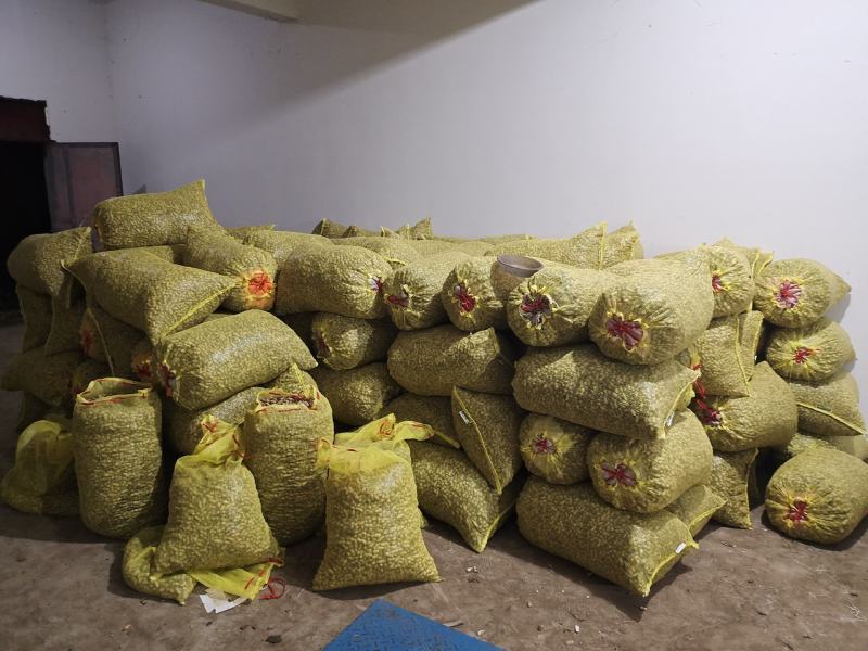 大白沙、小白沙，鲜花生大量上市
