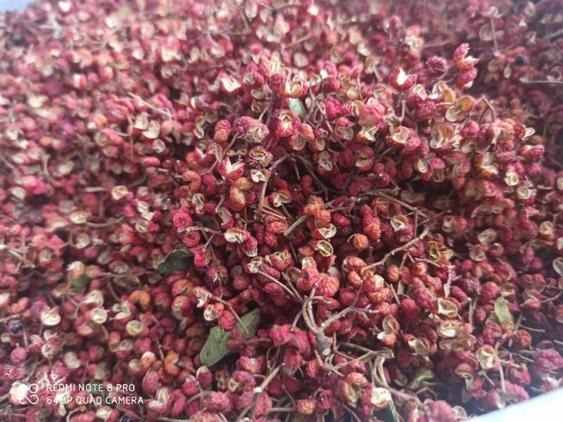 山西运城花椒大红袍花椒量大从优欢迎采购咨询