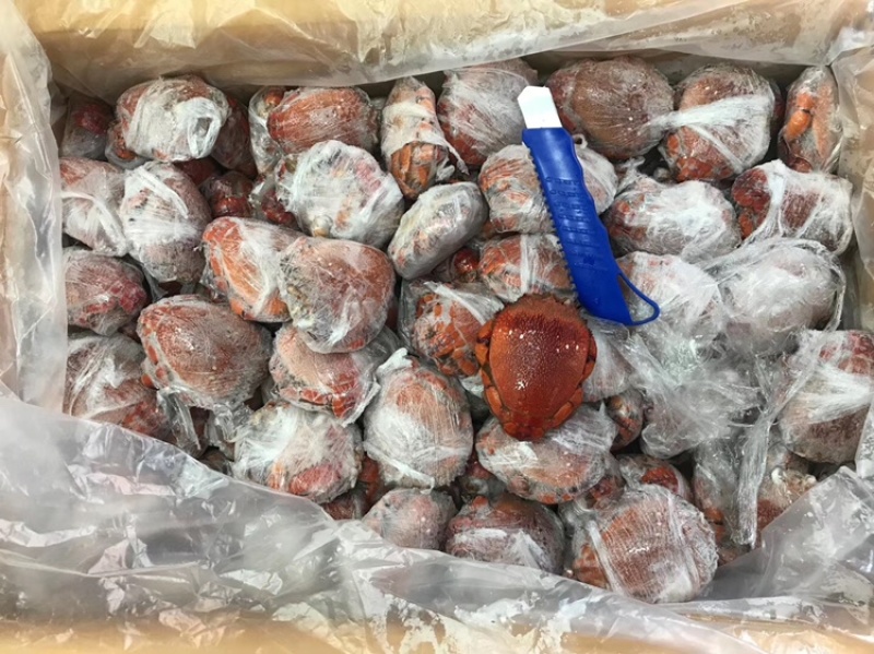 老虎蟹全规格一件10公斤，自助餐专用产品，全国可发货。