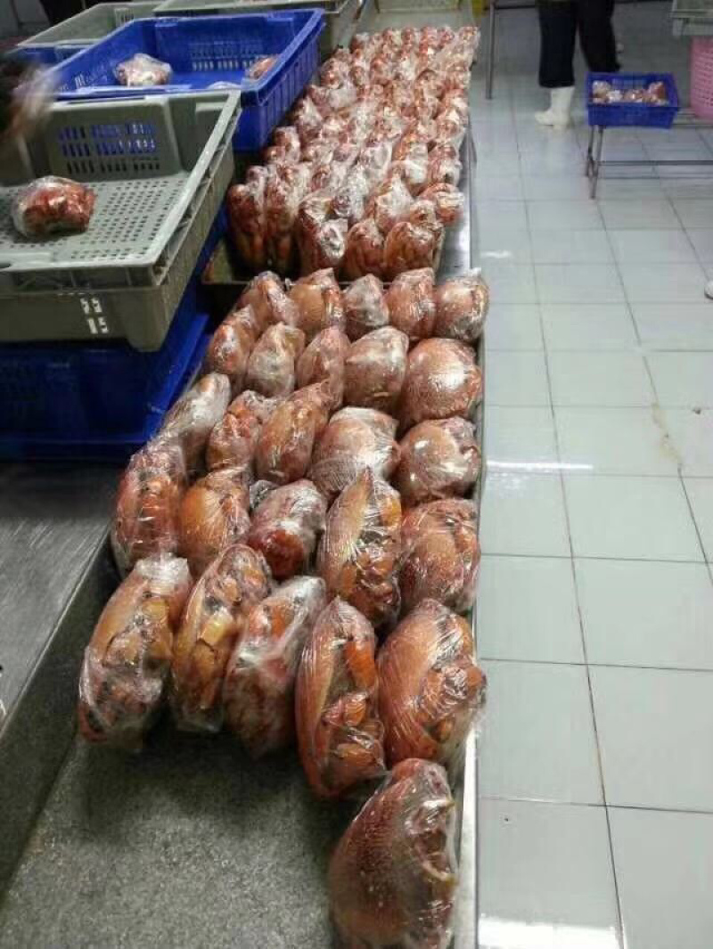 老虎蟹全规格一件10公斤，自助餐专用产品，全国可发货。