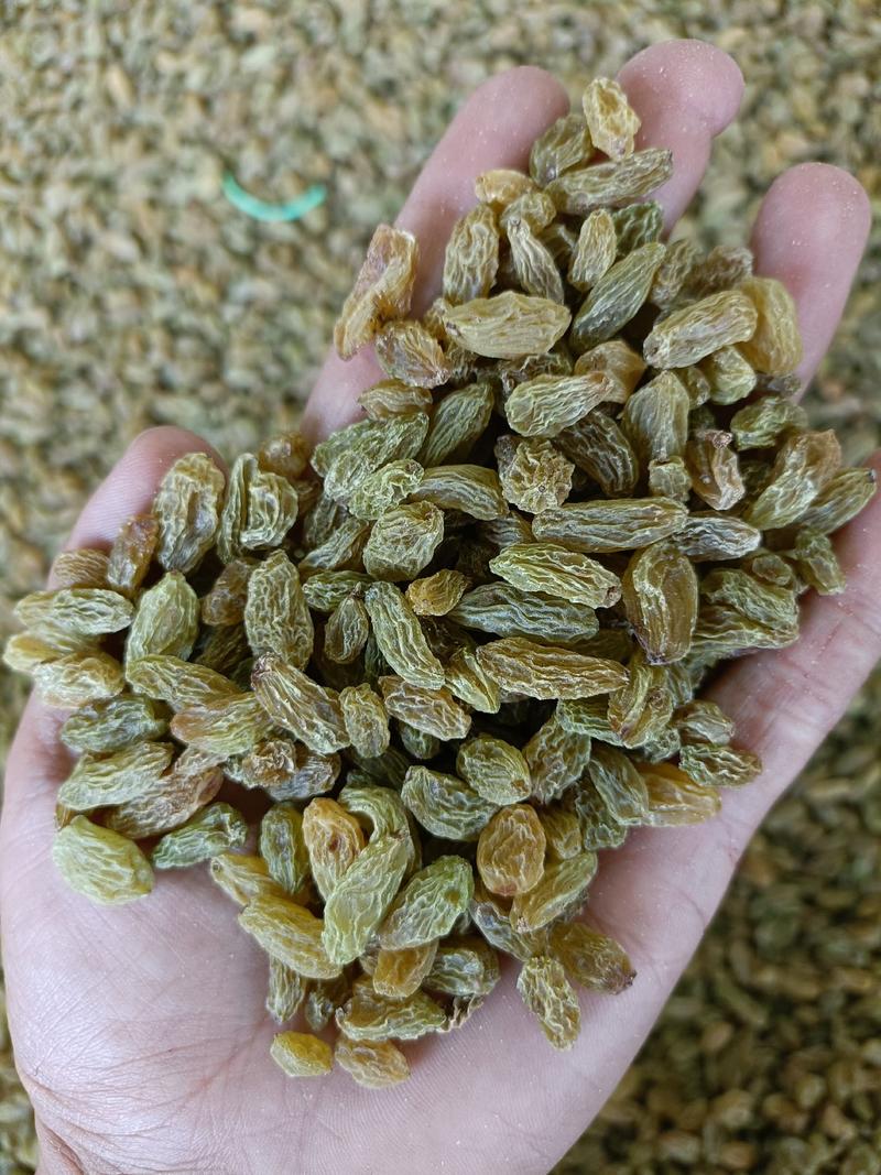新疆吐鲁番葡萄干大颗粒，中颗粒，小颗粒一年四季都有货