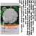 华松松花菜种子75天春秋两用杂交种，有机松花种子