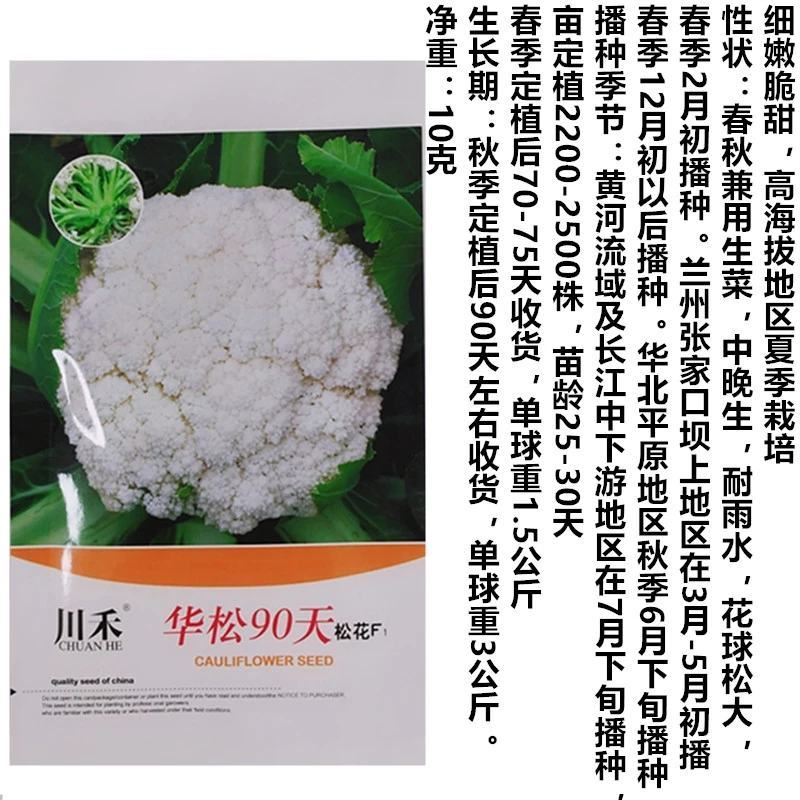 华松松花菜种子75天春秋两用杂交种，有机松花种子
