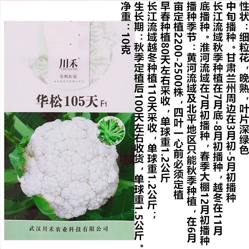 华松松花菜种子75天春秋两用杂交种，有机松花种子