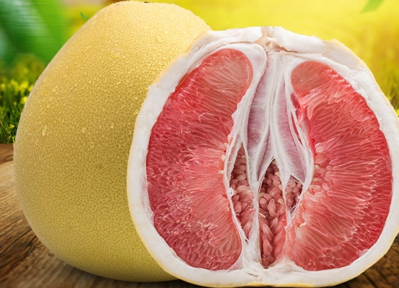 红肉柚苗血柚苗柚苗柚子苗柚子树柚树苗蜜柚苗红肉柚树