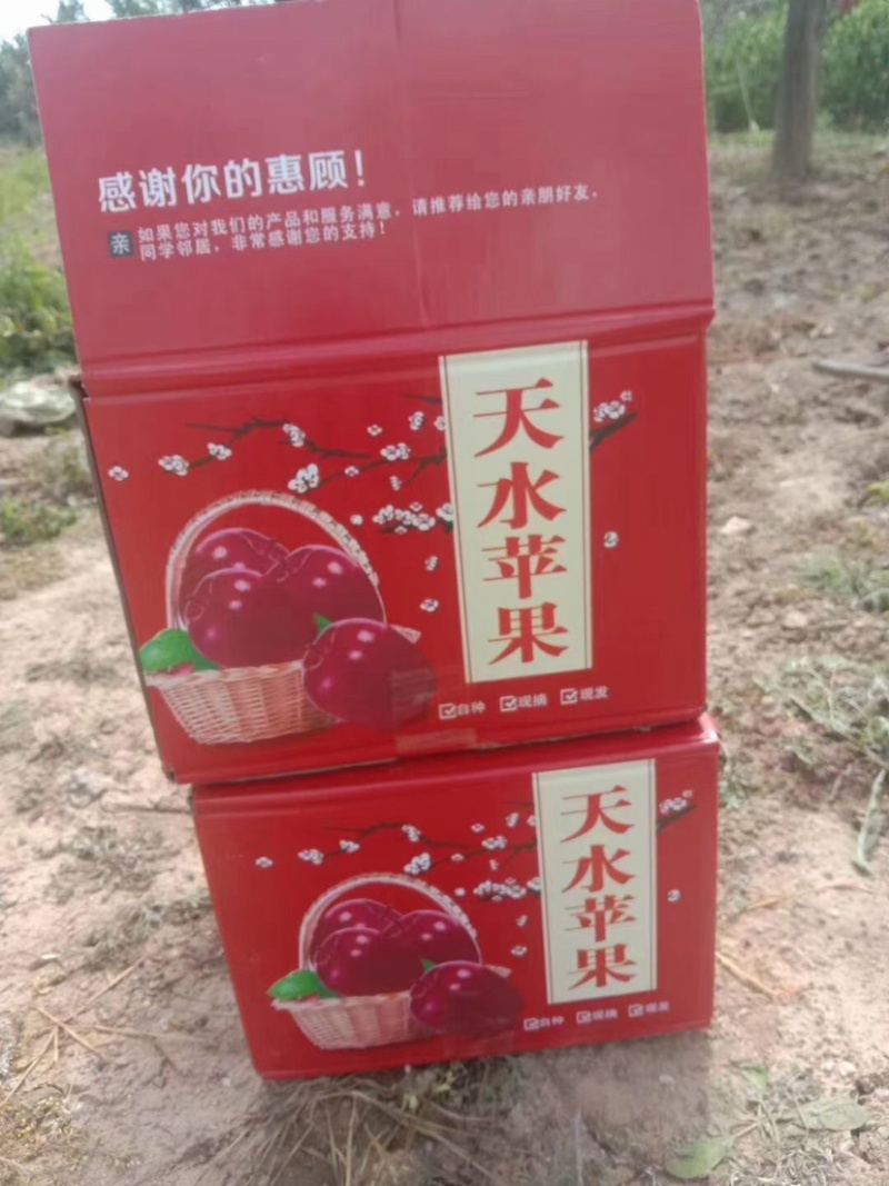 天水花牛苹果自家种新鲜甘甜，包邮到家。