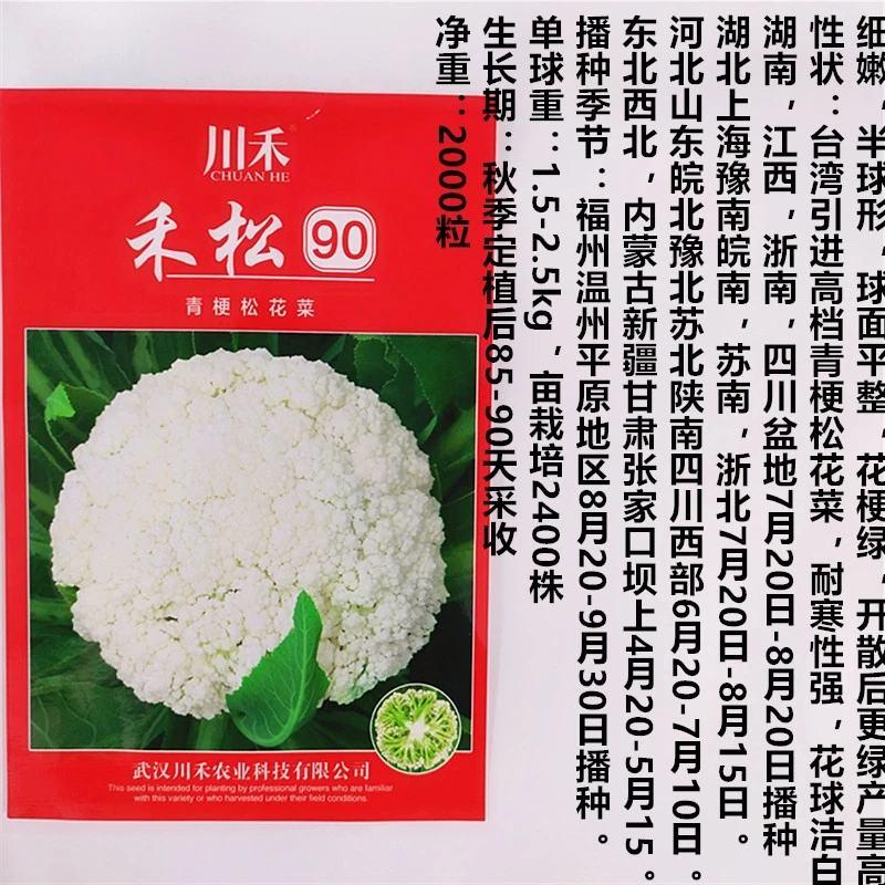 台湾引进松花种子65天球洁白半球型高产2kg