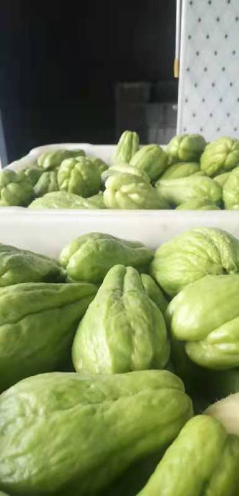 贵州高山岩生态绿色食品佛手瓜。口感好，量大。