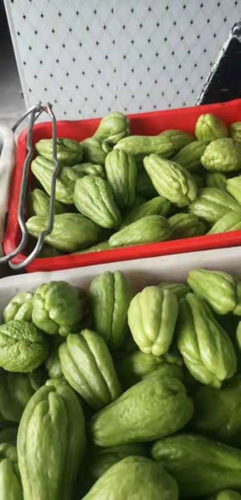 贵州高山岩生态绿色食品佛手瓜。口感好，量大。