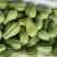 贵州高山岩生态绿色食品佛手瓜。口感好，量大。