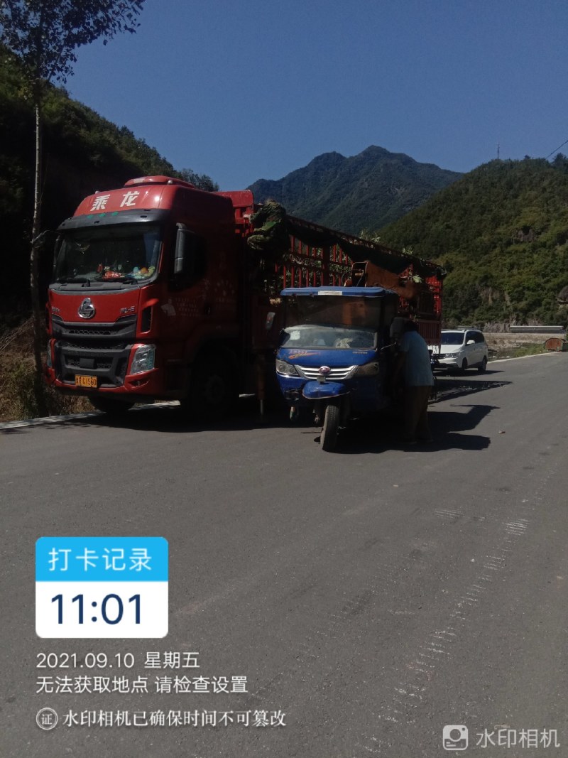 西峡县七叶树