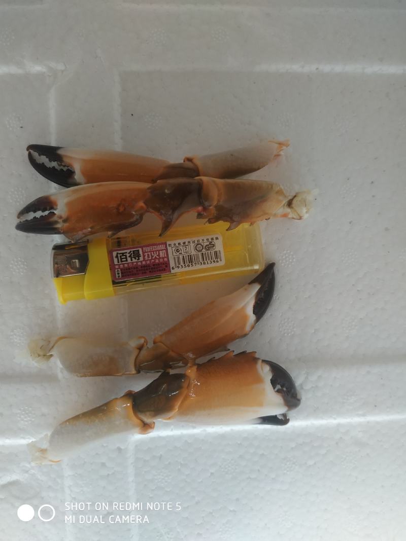 麻辣蟹钳，香辣蟹脚，盐焗蟹脚，新鲜红蟹脚，大蟹脚