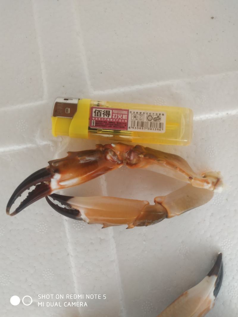 麻辣蟹钳，香辣蟹脚，盐焗蟹脚，新鲜红蟹脚，大蟹脚