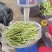 白豆角大量供应