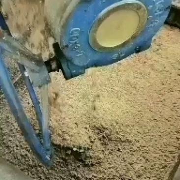 广东肇庆市蓝带啤酒有限公司