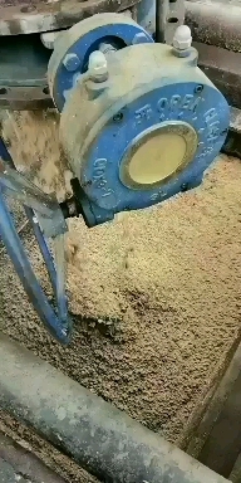 广东肇庆市蓝带啤酒有限公司
