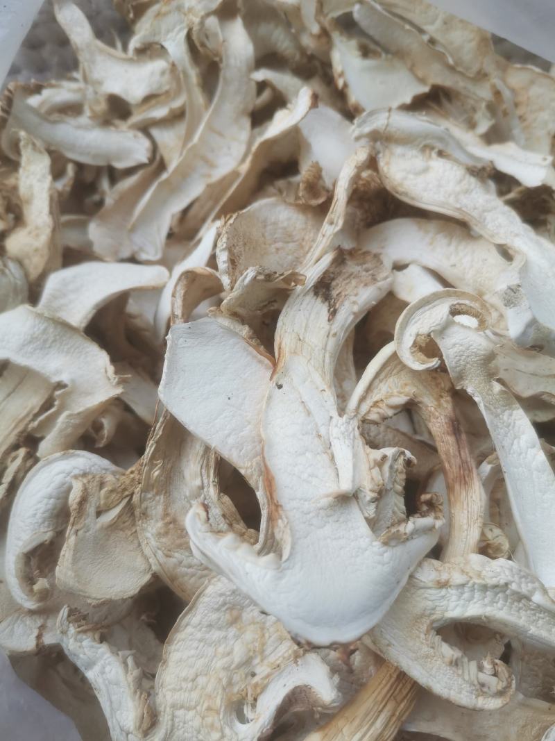 小金松茸干片