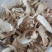 小金松茸干片