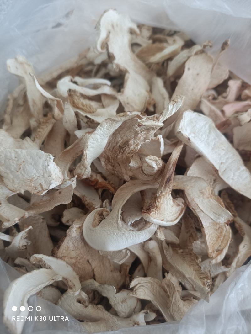 小金松茸干片