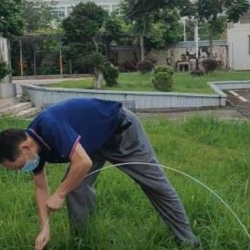 工厂批发玻璃纤维杆西瓜、冬瓜保温56789mm拱棚杆弓子