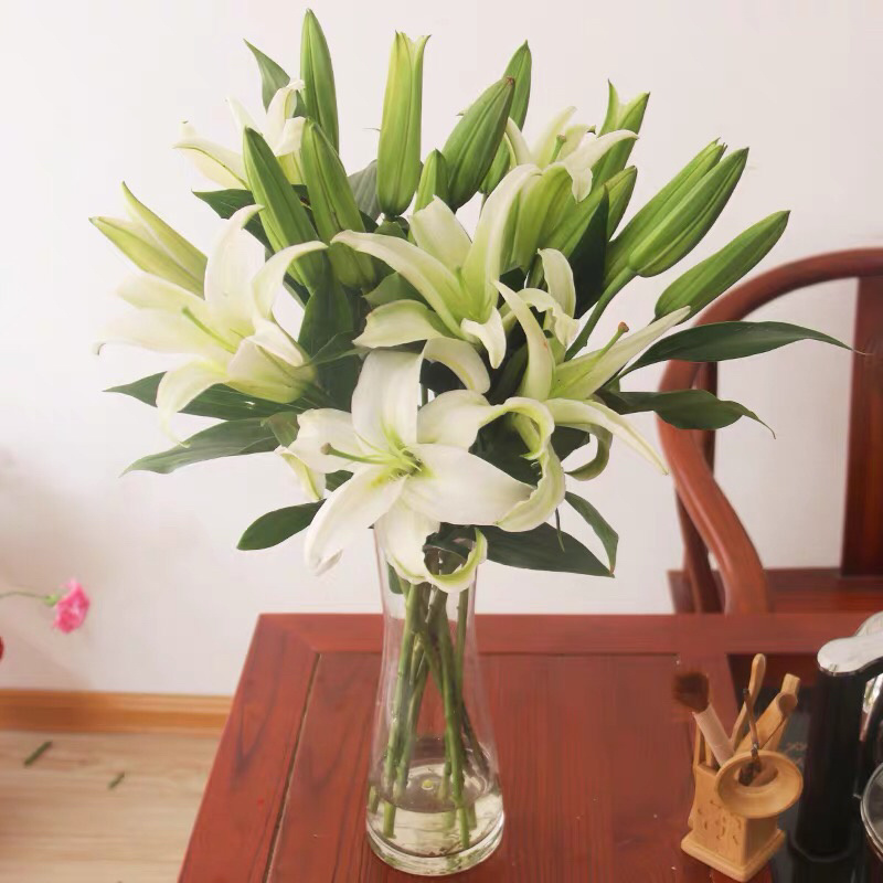 【百合花】云南昆明基地直批123多头粉白黄红颜色齐全现採