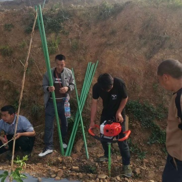 玻璃纤维管小拱棚杆支架竹竿水泥立柱替代品玻璃纤维杆