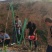 玻璃纤维管小拱棚杆支架竹竿水泥立柱替代品玻璃纤维杆