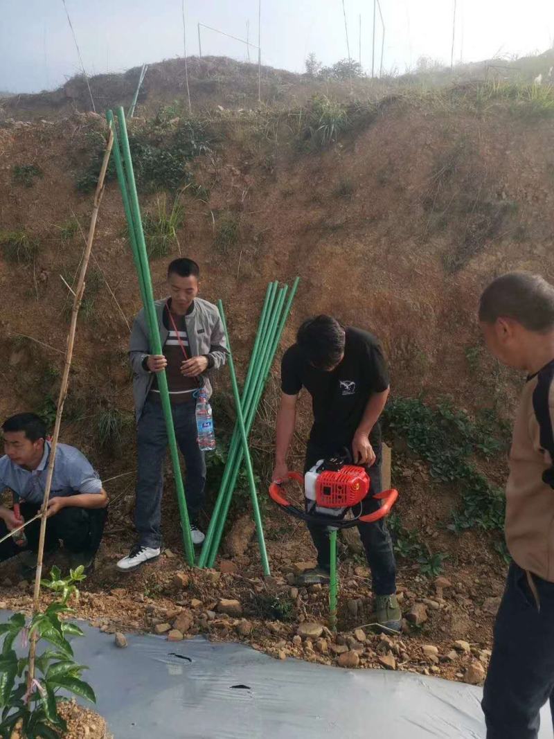 玻璃纤维管小拱棚杆支架竹竿水泥立柱替代品玻璃纤维杆