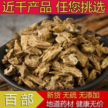 中药材百部百部草免费磨粉货干无硫货品质量保证