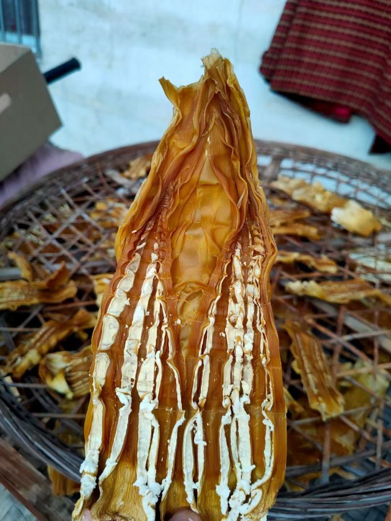 广西桂林笋干2022新鲜笋尖肥厚脆嫩产地直供欢迎咨询