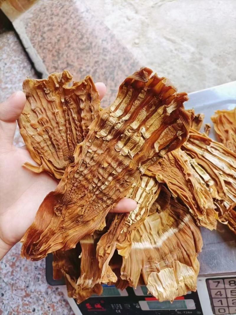 广西桂林笋干2022新鲜笋尖肥厚脆嫩产地直供欢迎咨询