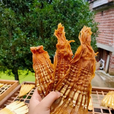 广西桂林笋干2022新鲜笋尖肥厚脆嫩产地直供欢迎咨询
