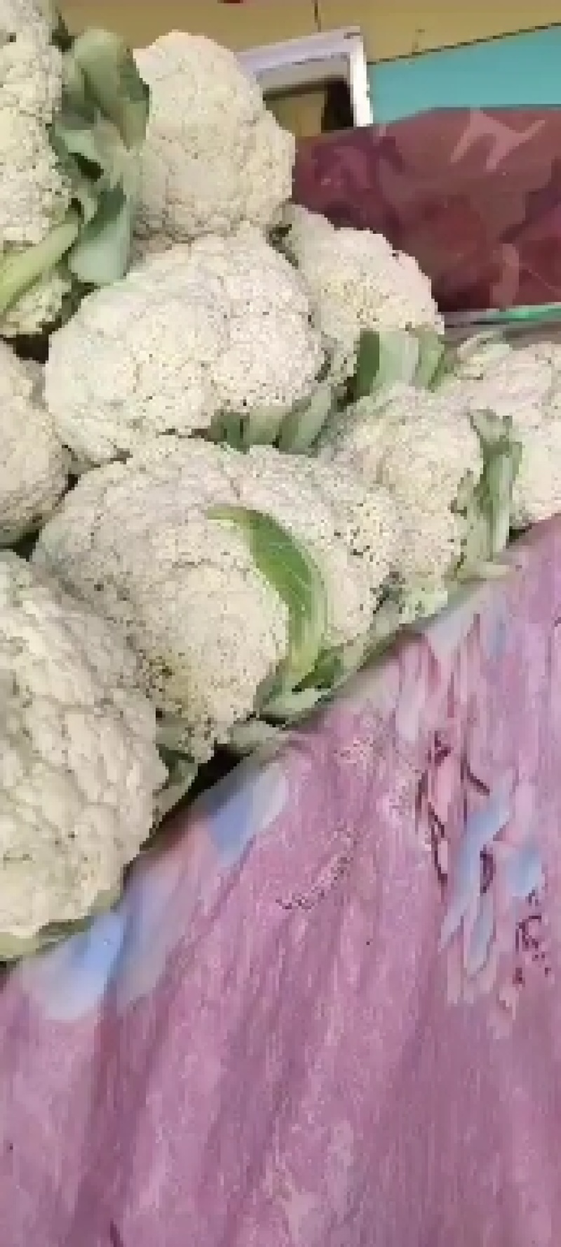 大量散花有货，产地直销批发零售价格便宜！需要的联系