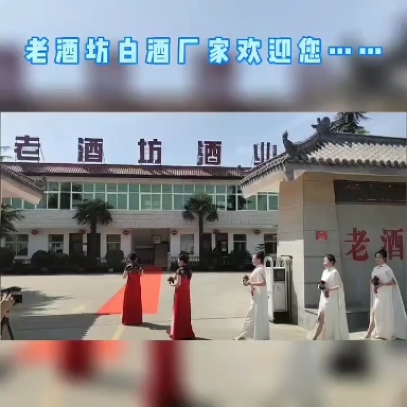 【高端白酒】浓香型纯粮白酒厂家直销52度6瓶装一箱包邮