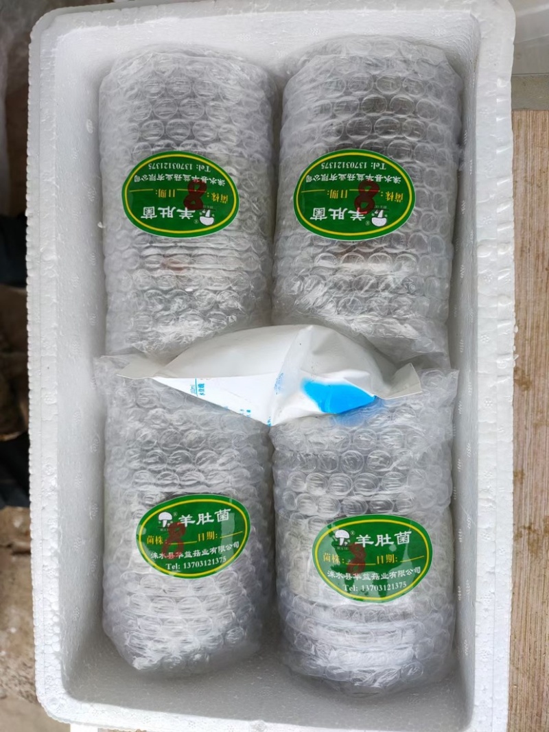 羊肚菌菌种、营养包，火速预定，手慢排到明年再种了～～～