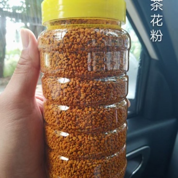 茶花粉孕妇老年人小孩都爱喝