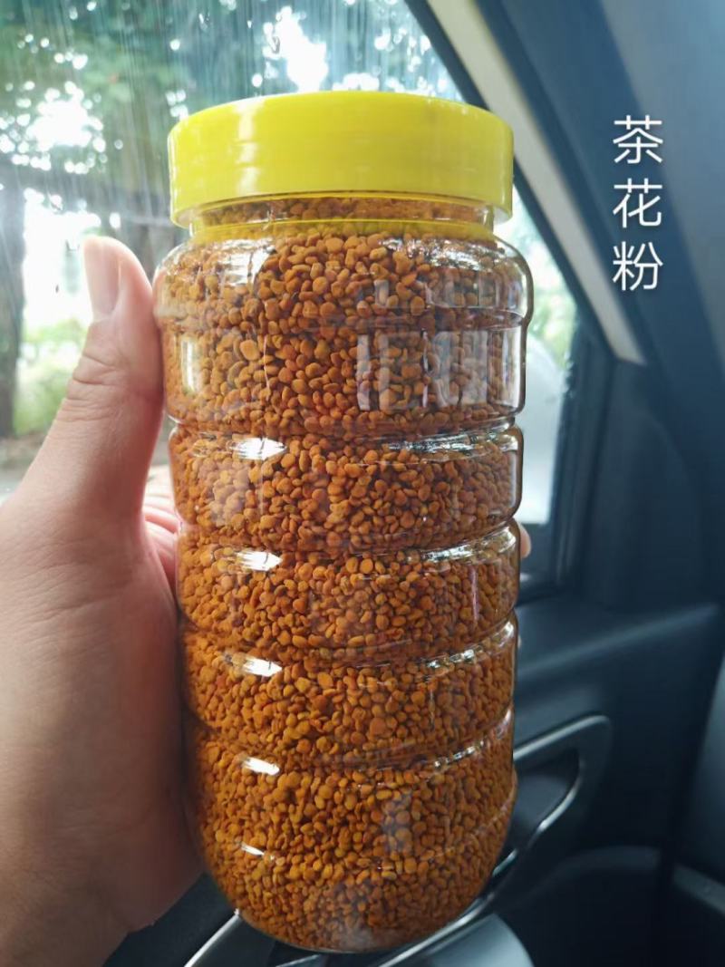 茶花粉孕妇老年人小孩都爱喝
