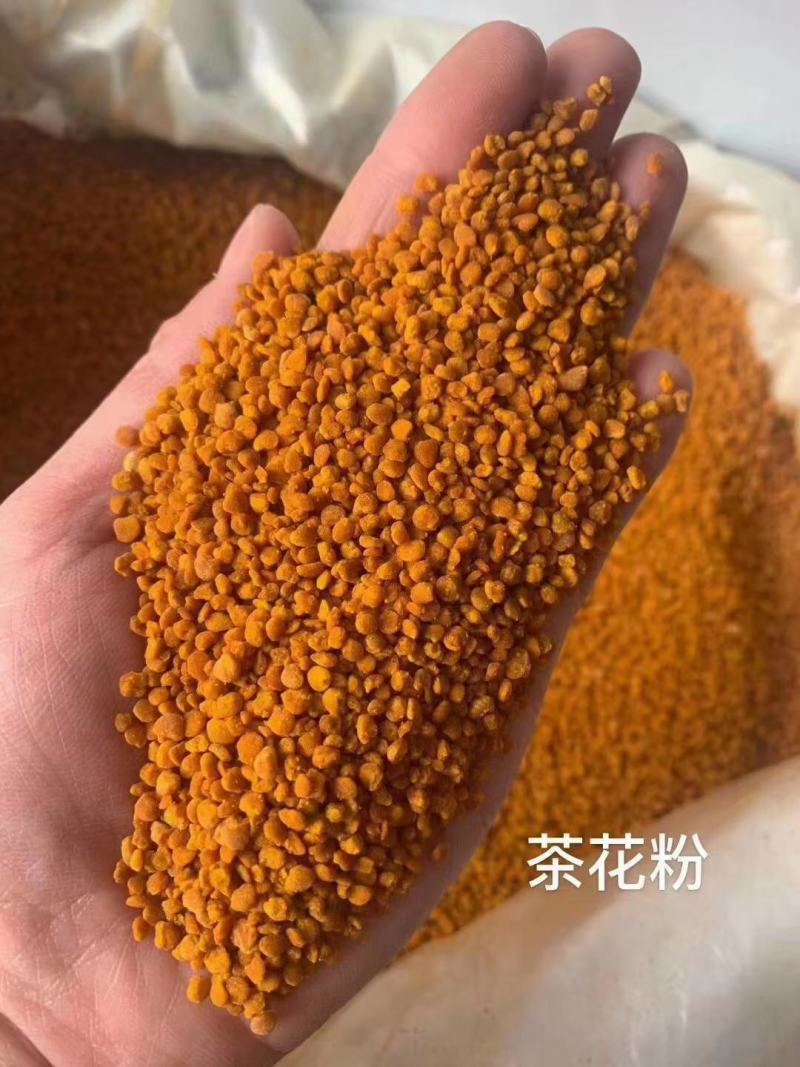 茶花粉孕妇老年人小孩都爱喝