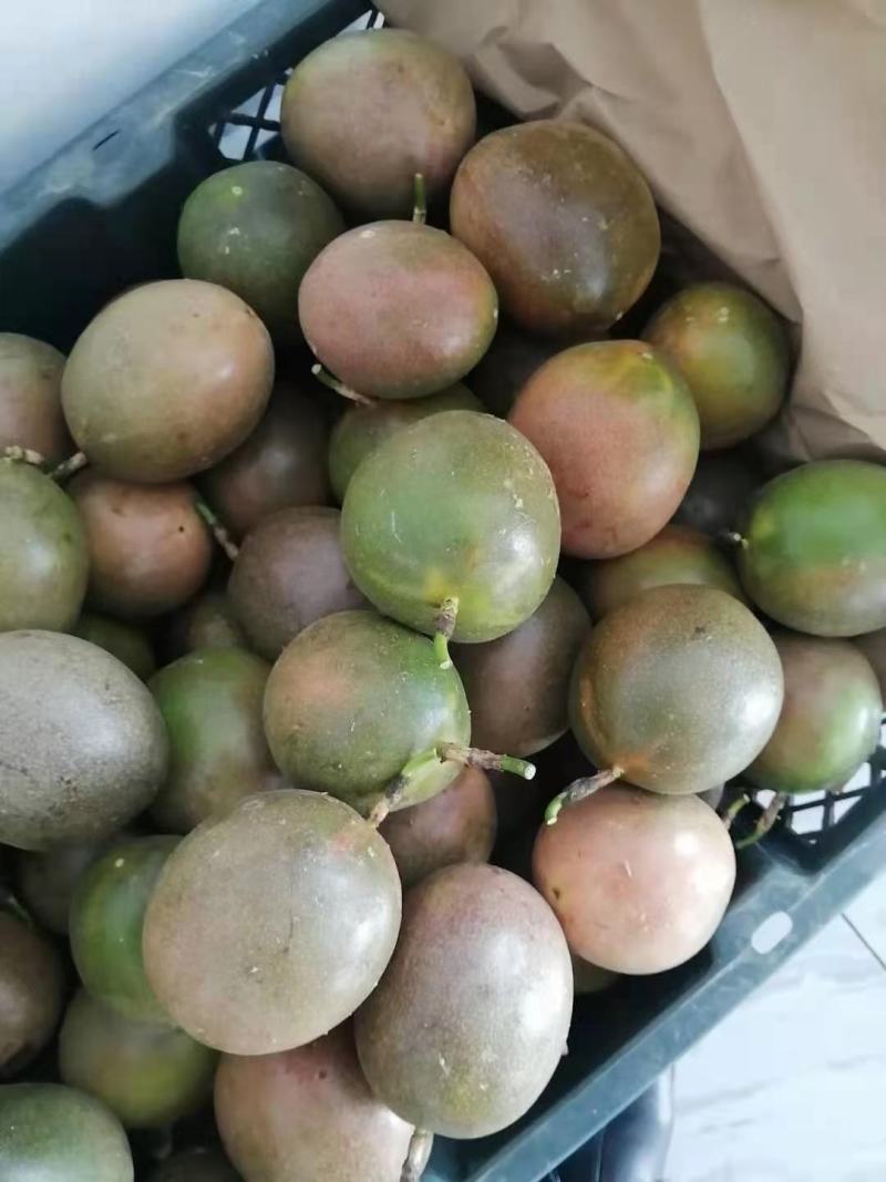 百香果次果