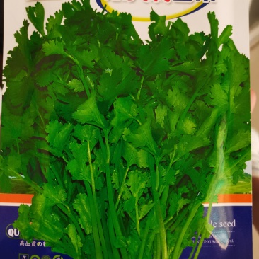 意大利香菜芫荽耐热耐寒大叶香菜种子大田专用耐抽苔
