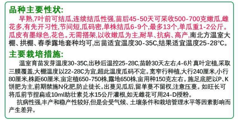 纯黑七叶早南瓜种子黑皮七叶早南瓜种子板栗南瓜高产香甜包邮