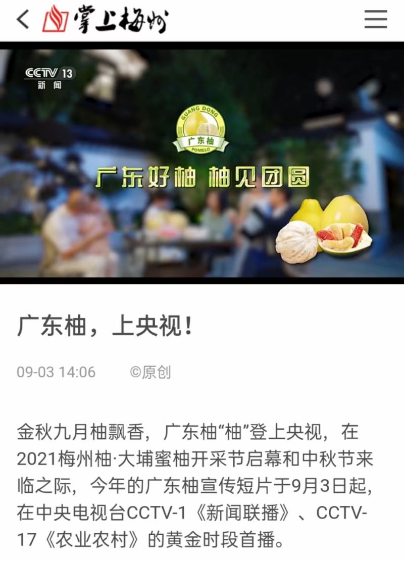 梅州三红蜜柚